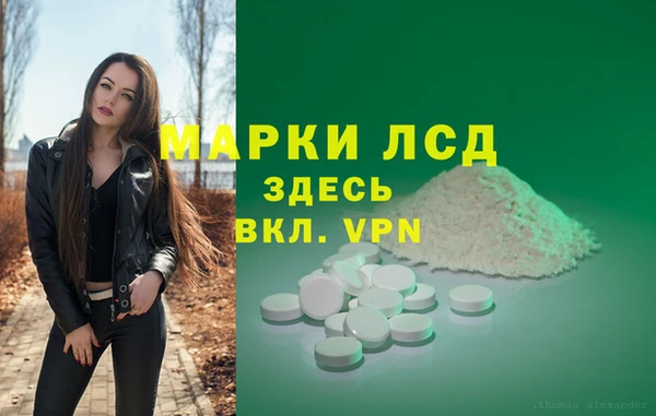 ПСИЛОЦИБИНОВЫЕ ГРИБЫ Алзамай