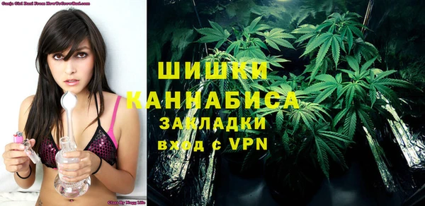 ПСИЛОЦИБИНОВЫЕ ГРИБЫ Алзамай