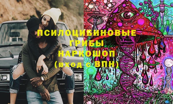 spice Алексин
